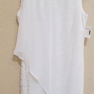 Dressbarn exquisite sheer and antique lace sheeth